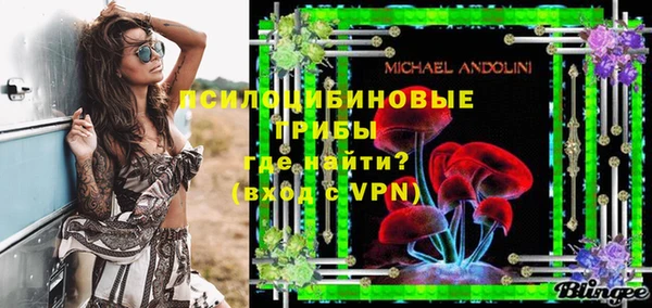 PSILOCYBIN Корсаков