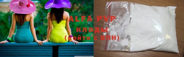 PSILOCYBIN Корсаков