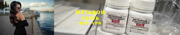 PSILOCYBIN Корсаков