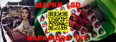 гашик Шахты