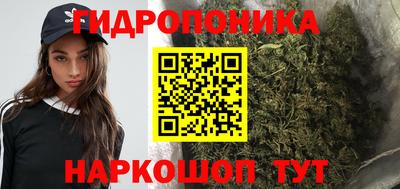 СК Шелехов