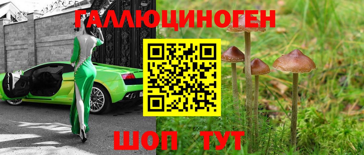 Киржач  Галлюциногенные грибы Magic Shrooms  Вход с VPN 